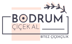 Bodrum Çiçek Al logo